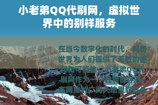 小老弟QQ代刷网，虚拟世界中的别样服务