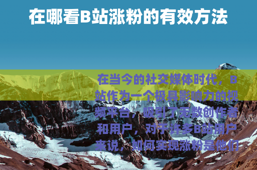 在哪看B站涨粉的有效方法