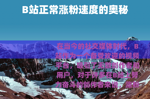 B站正常涨粉速度的奥秘