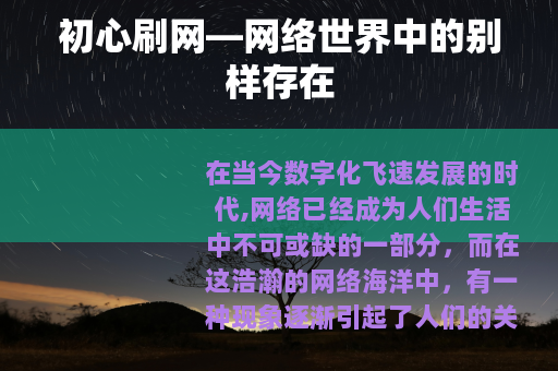 初心刷网—网络世界中的别样存在