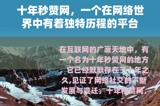 十年秒赞网，一个在网络世界中有着独特历程的平台