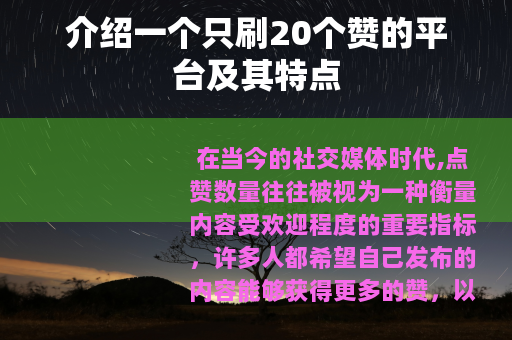 介绍一个只刷20个赞的平台及其特点