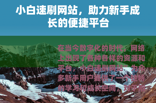 小白速刷网站，助力新手成长的便捷平台