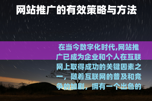网站推广的有效策略与方法