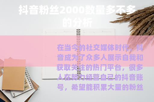 抖音粉丝2000数量多不多的分析