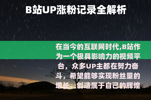 B站UP涨粉记录全解析