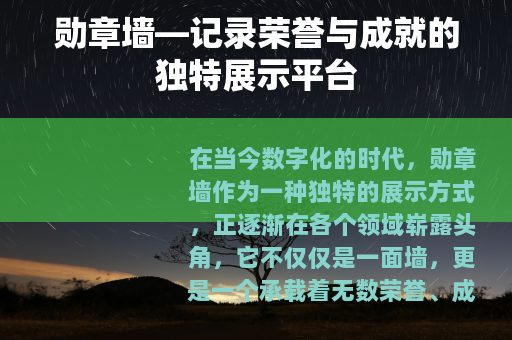 勋章墙—记录荣誉与成就的独特展示平台