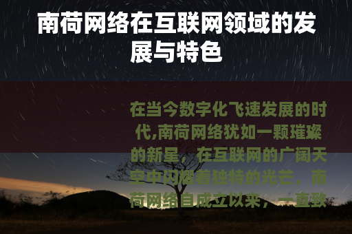 南荷网络在互联网领域的发展与特色