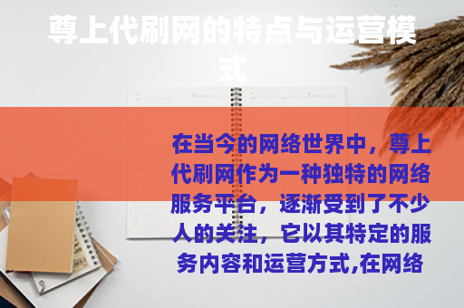尊上代刷网的特点与运营模式