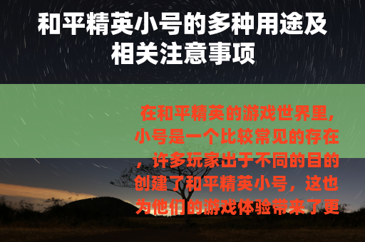 和平精英小号的多种用途及相关注意事项