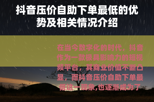 抖音压价自助下单最低的优势及相关情况介绍