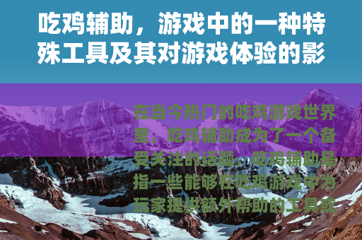 吃鸡辅助，游戏中的一种特殊工具及其对游戏体验的影响