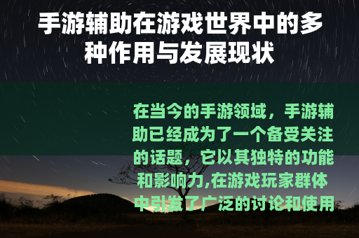 手游辅助在游戏世界中的多种作用与发展现状