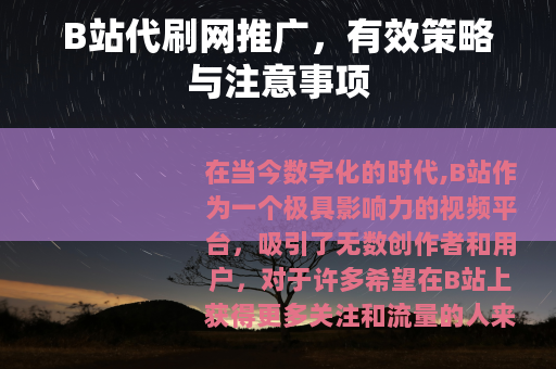 B站代刷网推广，有效策略与注意事项