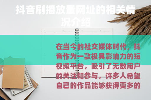 抖音刷播放量网址的相关情况介绍
