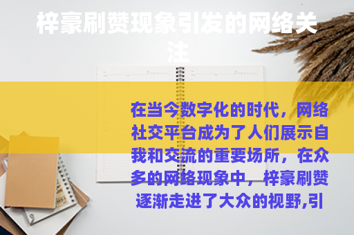 梓豪刷赞现象引发的网络关注