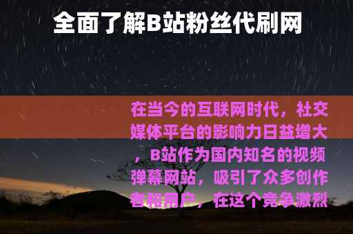 全面了解B站粉丝代刷网