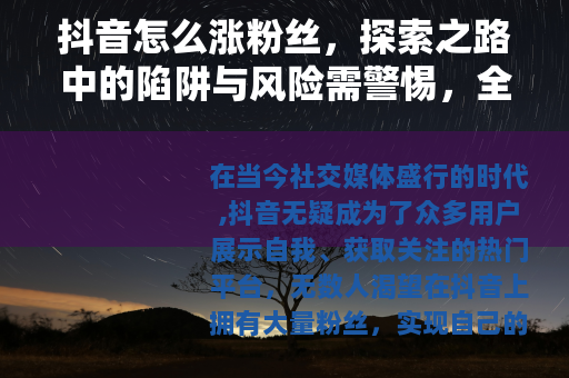 抖音怎么涨粉丝，探索之路中的陷阱与风险需警惕，全面解密涨粉秘籍