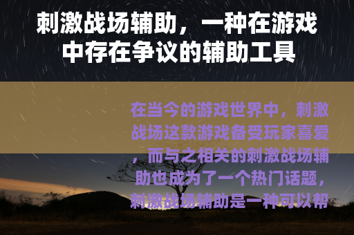 刺激战场辅助，一种在游戏中存在争议的辅助工具