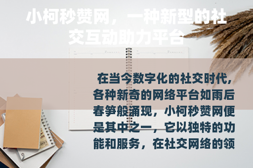 小柯秒赞网，一种新型的社交互动助力平台