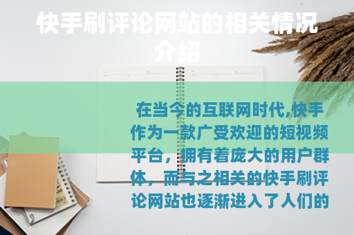 快手刷评论网站的相关情况介绍