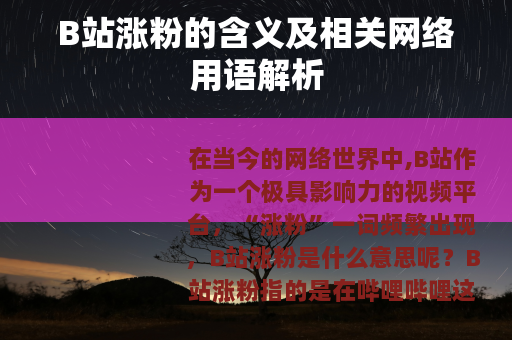 B站涨粉的含义及相关网络用语解析