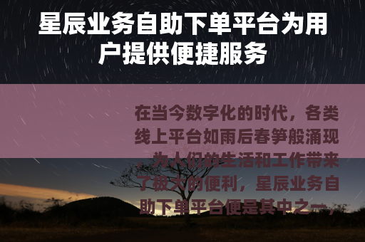 星辰业务自助下单平台为用户提供便捷服务