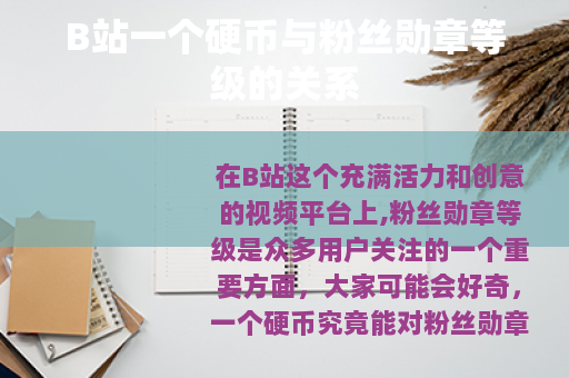 B站一个硬币与粉丝勋章等级的关系