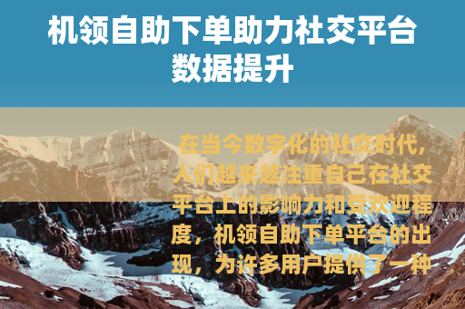 机领自助下单助力社交平台数据提升