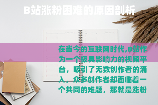 B站涨粉困难的原因剖析