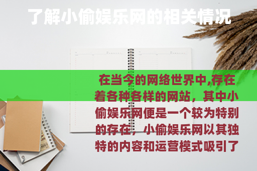 了解小偷娱乐网的相关情况