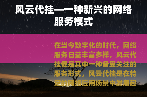 风云代挂—一种新兴的网络服务模式