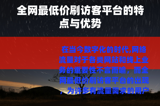 全网最低价刷访客平台的特点与优势