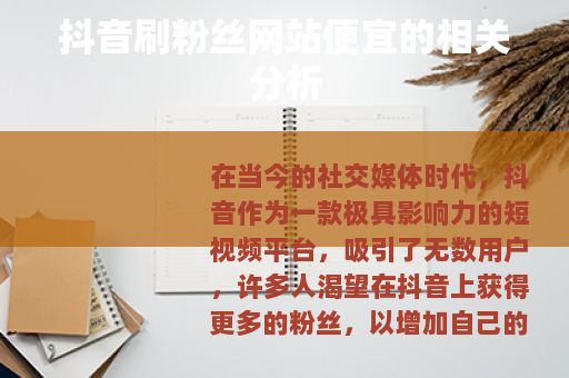 抖音刷粉丝网站便宜的相关分析