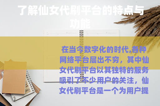 了解仙女代刷平台的特点与功能
