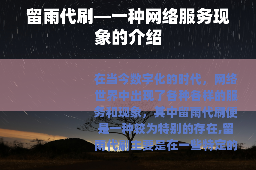 留雨代刷—一种网络服务现象的介绍