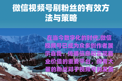 微信视频号刷粉丝的有效方法与策略