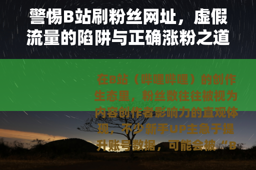 警惕B站刷粉丝网址，虚假流量的陷阱与正确涨粉之道
