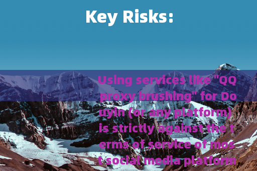 Key Risks: