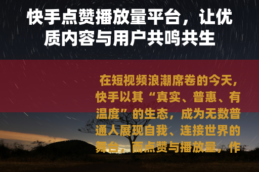 快手点赞播放量平台，让优质内容与用户共鸣共生