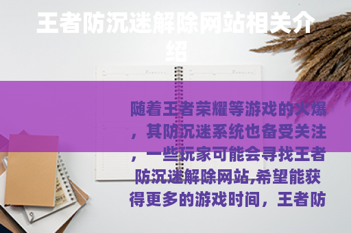 王者防沉迷解除网站相关介绍