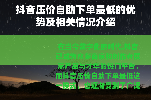 抖音压价自助下单最低的优势及相关情况介绍