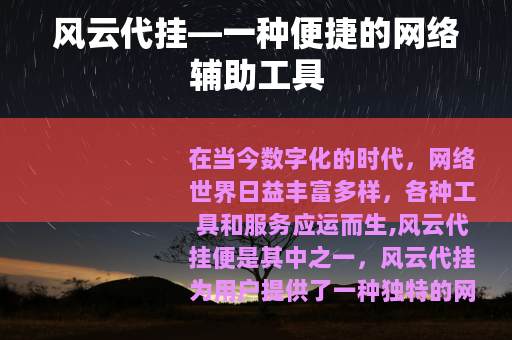 风云代挂—一种便捷的网络辅助工具
