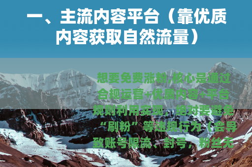 一、主流内容平台（靠优质内容获取自然流量）