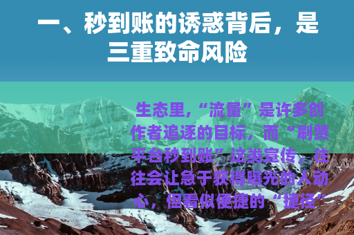 一、秒到账的诱惑背后，是三重致命风险