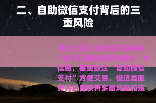 二、自助微信支付背后的三重风险