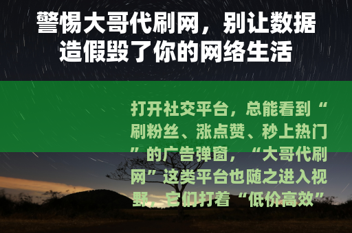 警惕大哥代刷网，别让数据造假毁了你的网络生活