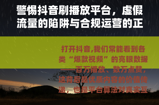警惕抖音刷播放平台，虚假流量的陷阱与合规运营的正道