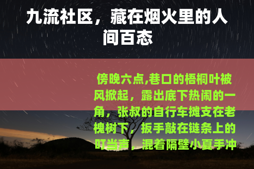 九流社区，藏在烟火里的人间百态