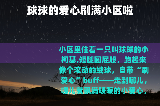 球球的爱心刷满小区啦